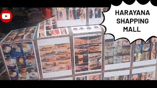 HARYANA MARKET SHARDAR BAZZAR SHOPING MALL VLOG [upl. by Atiuqer]