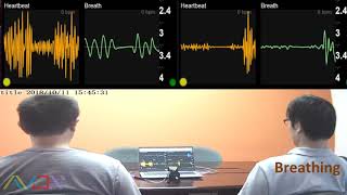 mmWave Radar Vital Sign Detection Two Target [upl. by Myna]