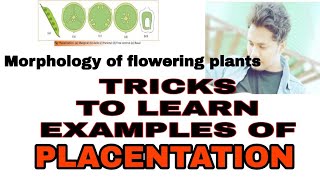 Tricks  Easy way to learn the examples of placentationMorphology of flowering plants [upl. by Leff924]