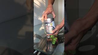 MUSCLEBLAZE Creatine Monohydrate Unboxing foryou creatine unboxing review supplements short [upl. by Blair720]