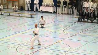 Bassai Dai Shisui Ryu Karate Do Swiss Karatedo Confederation SKC Maru Dojo Bern [upl. by Vaasta]