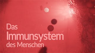 Immunsystem des Menschen  Aufbau und Funktion Animation [upl. by Estus955]