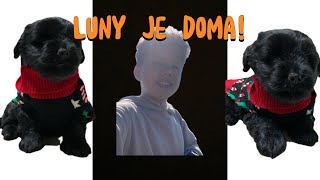 Luny je doma [upl. by Nadya]