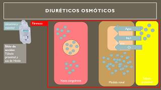 Farmacos diuréticos en 7 MINUTOS [upl. by Xenia]