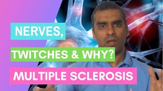 Multiple Sclerosis MS  Nerves Twitches and Why [upl. by Church]