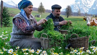 Wild Edible Herb Harvest amp Cooking Flatbread 🌿 Foraging amp Cooking in Nature [upl. by Atela]