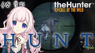 【The Hunter CotW】エメラルドコーストでカンガルーと殴り合い！【VTuber】 [upl. by Ruella]