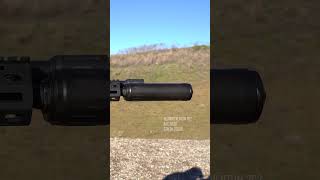 300blk Subsonic [upl. by Belanger]