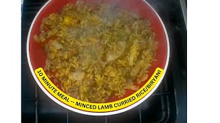 1 PAN 10 MINUTE MEAL  MINCED LAMB CURRIED RICE OR CHEAT BIRYANI [upl. by Atirabrab]