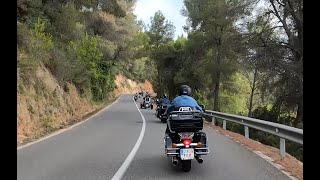 De ruta con el grupo CUSTOM ROOTS [upl. by Oech306]