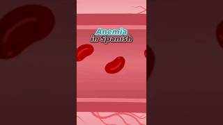 ANEMIA in SPANISH  Work Vocabulary  Medical Interpreter Training [upl. by Eca]