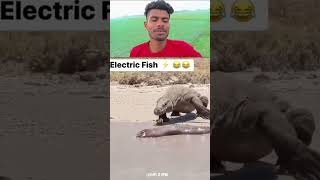 Power Of Electric Fish 🐟 video trending [upl. by Shaffer]