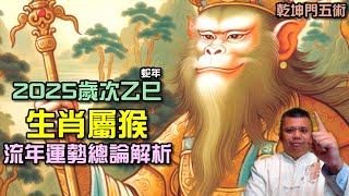 2025歲次乙巳生肖屬猴流年總論解析 [upl. by Dyanna]