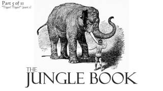 Part 5  The Jungle Book Audiobook 511 [upl. by Sices774]