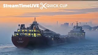 Just a Beautiful Ship in a Foggy Sunrise  STL QUICK CLIP [upl. by Astraea583]