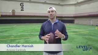 QB Mentality and Intro  Chandler Harnish Arizona Cardinals [upl. by Aynwat]