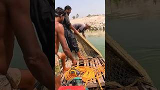 Net Fishing Video From Dhorla River fish fishingvideo fishing netfishing [upl. by Amliw]