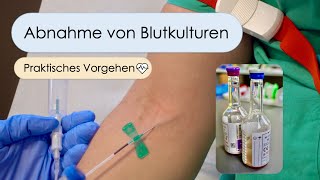 Blutkulturen abnehmen  Schritt für Schritt Blutkulturen beimpfen Tipps und Tricks [upl. by Anneuq]