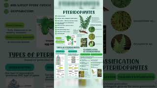 pteridophytes botany biology [upl. by Nabal112]