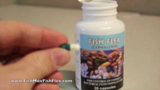 Fish Flex Cephalexin 250 mg Fish Antibiotic [upl. by Nittirb618]