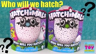 Lets Hatch Our Hatchimals Hatching Fun Surprise Egg  PSToyReviews [upl. by Bella]