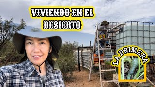 131LES MUESTRO EL HUERTO🔥PINTANDO TANQUE Y CONTENEDORES 🌵huerto vlog desierto [upl. by Warga]