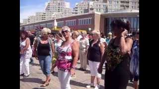 MOVE A LIKE  Line Dance WE Scheveningen 9711 Workshop met Ria Vos [upl. by Corsetti]