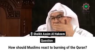 How should Muslims react to burning of the Quran  Sheikh Assim Al Hakeem [upl. by Dibb803]