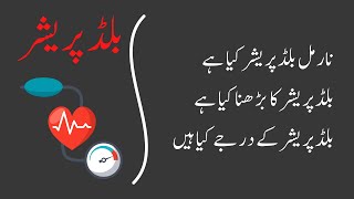 Blood Pressure explained in Urdu [upl. by Aenyl]