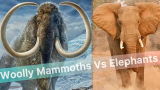 Woolly Mammoths Vs Elephants The Ultimate Showdown  NaturesEye11 [upl. by Gnol]