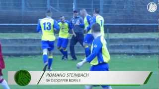 Vorschlag Tor des Monats  Romano Steinbach SV Osdorfer Born II  ELBKICKTV [upl. by Bardo603]