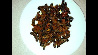 How to cook delicious Mopane wormsMadoraAmacimbi MasonjaMashonzha [upl. by Tewell]