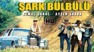 Şark Bülbülü Türk Filmi  RESTORASYONLU  Kemal Sunal Filmleri [upl. by Hartill]