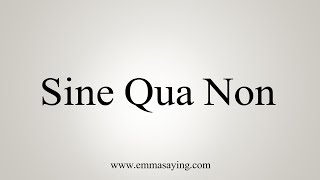 How To Say Sine Qua Non [upl. by Netsyrc]