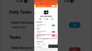 Cats Youtube Code Today  13 November Cats daily Task Cats video code [upl. by Orpah]