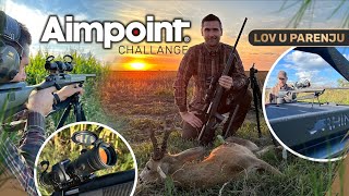 Lov Srndaća u Parenju sa Aimpointom  Roebuck hunt in the rut with Aimpoint  E207 [upl. by Fey128]