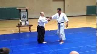 Aikido  Andrew M Sato Sensei Demo  NIkyo [upl. by Iilek]