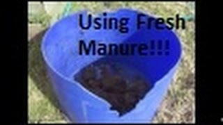 How To Use Fresh Chicken Manure In The Garden [upl. by Neeoma]