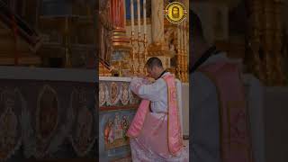 Holy Mass celebrated at the Altar of Most Holy Crowned Saint Joseph of Palmar [upl. by Aniham]