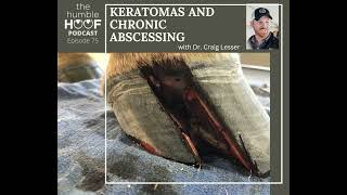 Keratomas and Chronic Abscessing with Dr Craig Lesser [upl. by Arraeic]