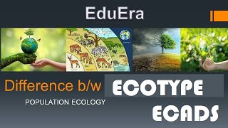 Ecotypes and Ecads in English  Population ecology in English [upl. by Znerol873]