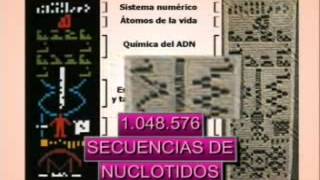 Mensaje de Arecibo enviado al espacio y contestado en 2001 [upl. by Chung]