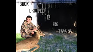 My 2019 Buck Kill Drops In His Tracks [upl. by Immij]