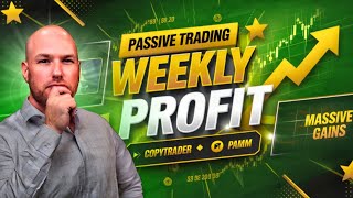 Passive Trading  Weekly Profits Report  October 14 2024 [upl. by Lida669]