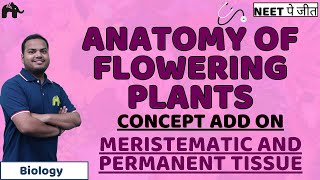 Anatomy of Flowering Plants Class 11 Biology NEET Concept Add onMeristematic and Permanent Tissue [upl. by Shiri]