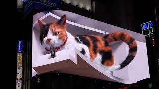 Tokyo 3D billboard Shinjuku Cat [upl. by Drawd]