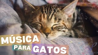 Música para Gatos  Música Mágica para Gatos  Música Calmante para Aliviar Estrés en Gatos [upl. by Yellek]