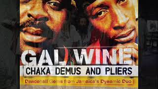 Chaka Demus amp Pliers Help Them Lord 2004 [upl. by Nogras984]