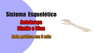 Rádio e Ulna  Ossos do Antebraço  Anatomia Humana  Anatomia [upl. by Kirsteni272]