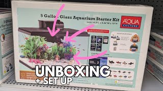 5 Gallon Aquarium Starter Kit by Aqua Culture Unboxing  Betta Fish Tank Set Up [upl. by Troth]